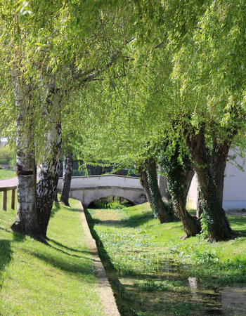 Chemins   de randonnée